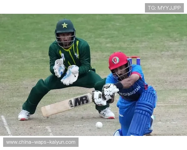 板球长时间比赛中的耐心与智慧并存